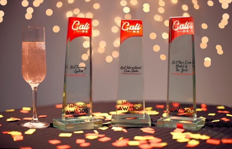 2019 – un an al premiilor, calatoriilor si rezultatelor exceptionale